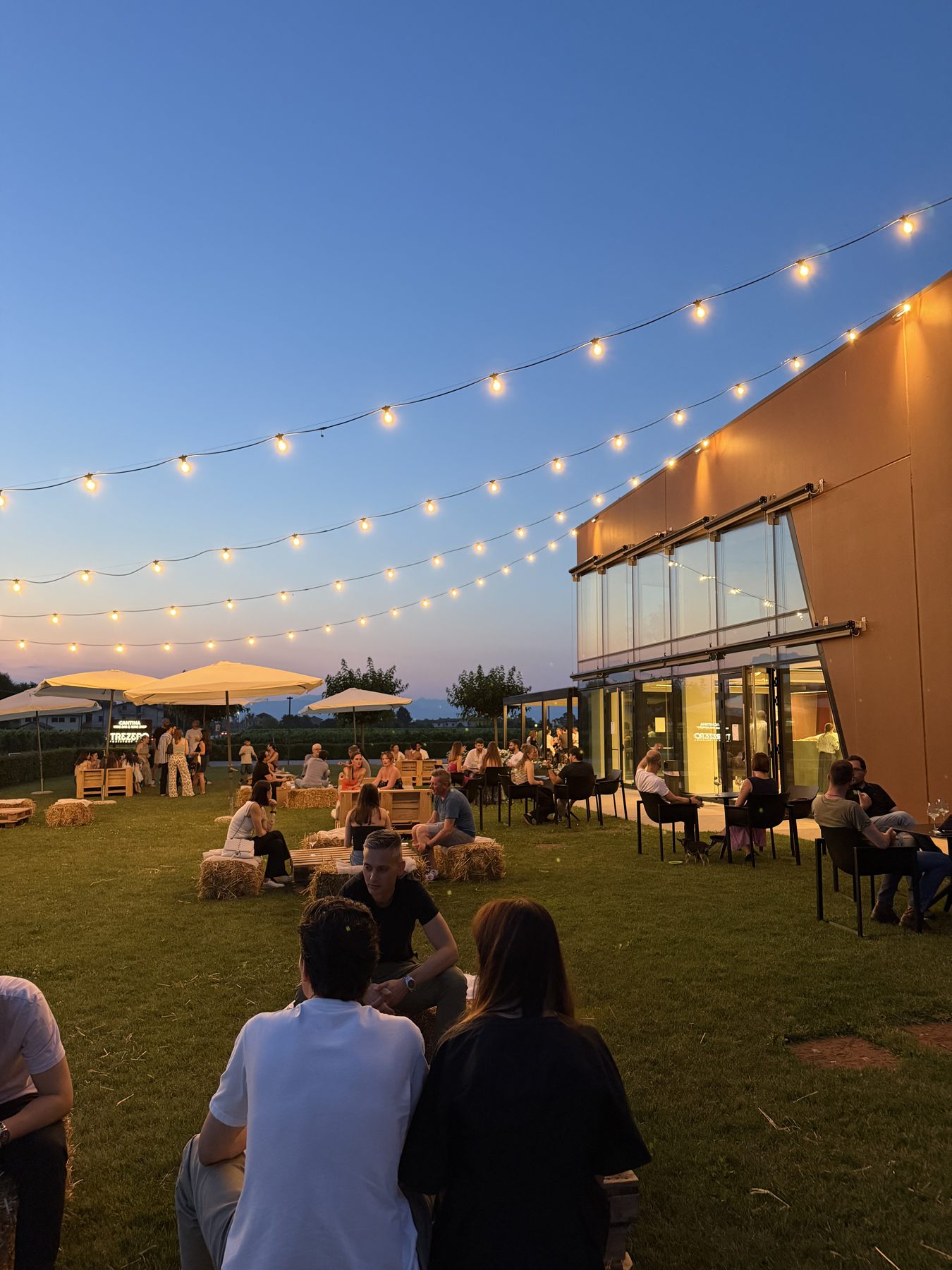 Guests on the TreZero lawn at sunset under string lights